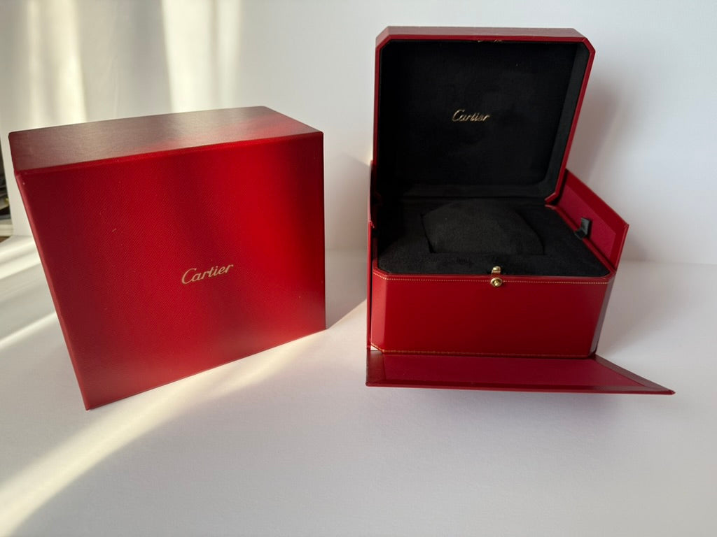 Deluxe single watch holder box with soft cushion and luxury finish