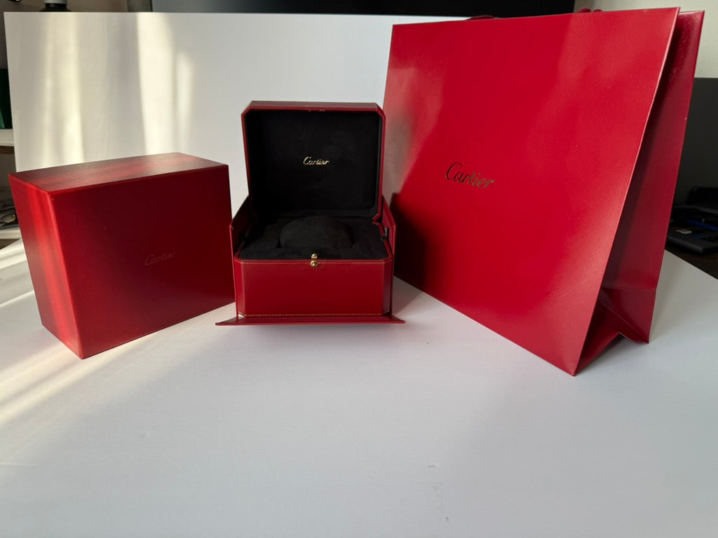 Premium watch case with matching gift bag and elegant presentation style